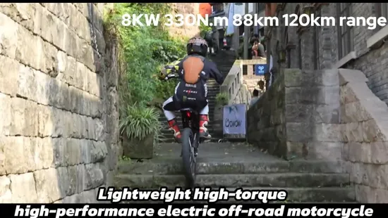 8000W 88km/H Electrical Motorcycle off