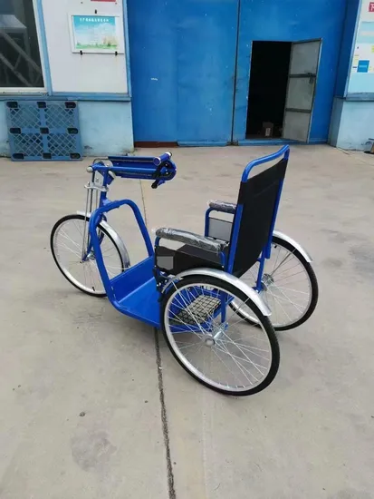 Handicapped Standing Manual Passenger Tricycle Manufacturers Disabled Tricycles Elderly 